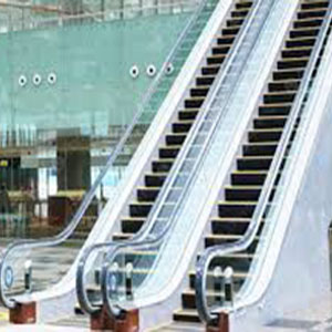 Thang cuốn nhập khẩu 05